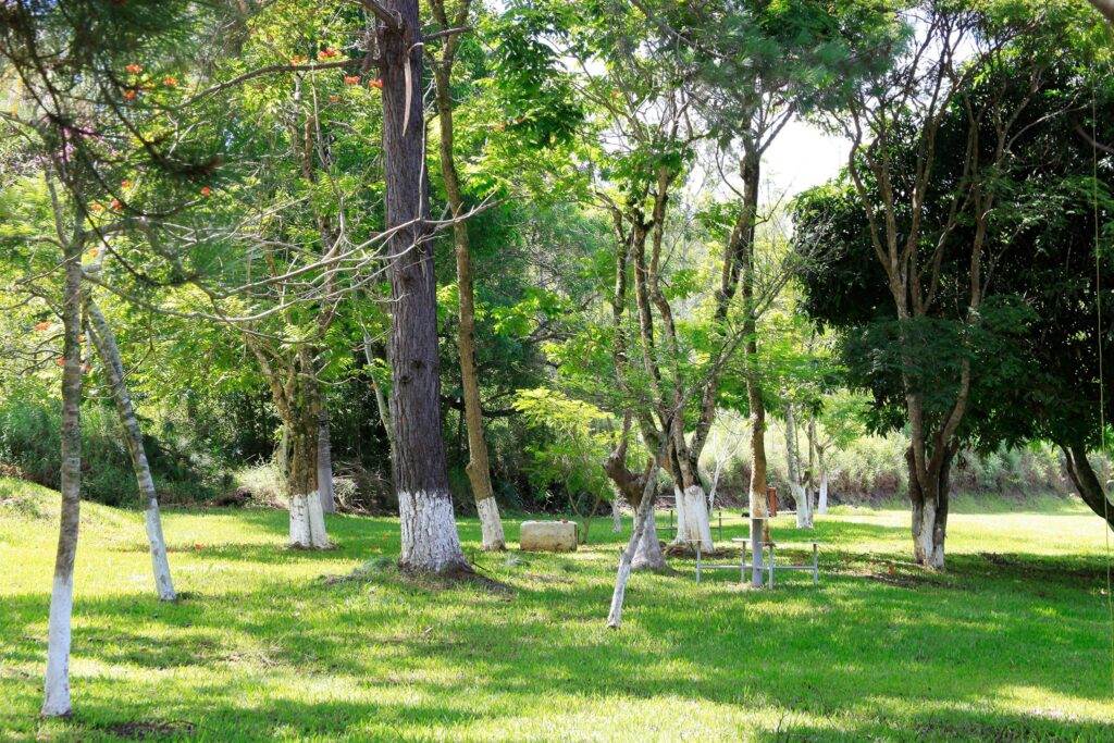 Guararema (30)