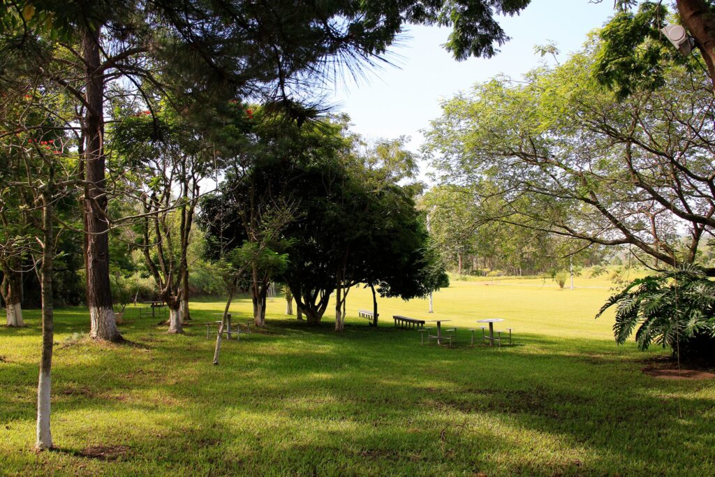 Guararema (5)